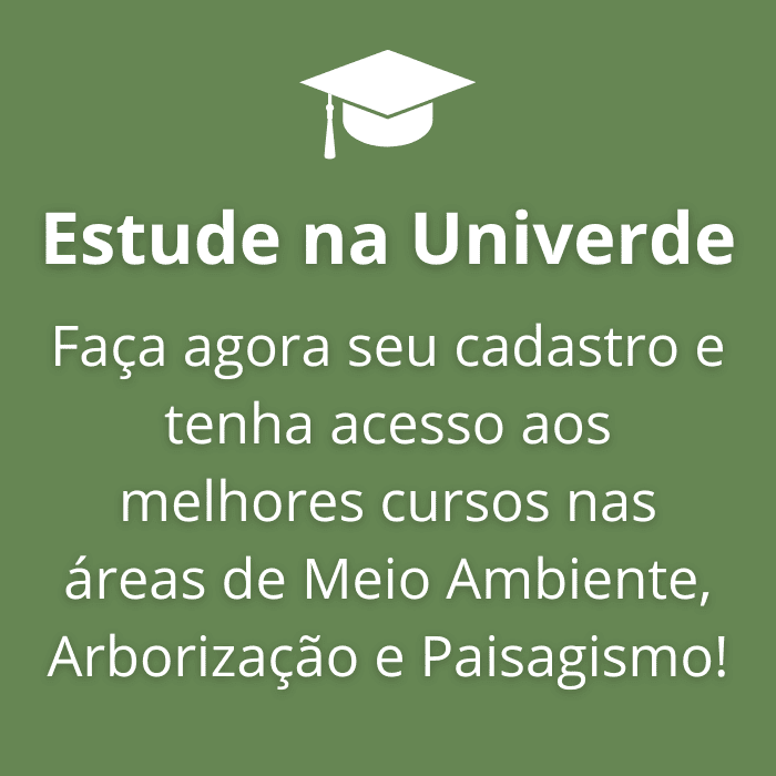 Design sem nome (6) (1)