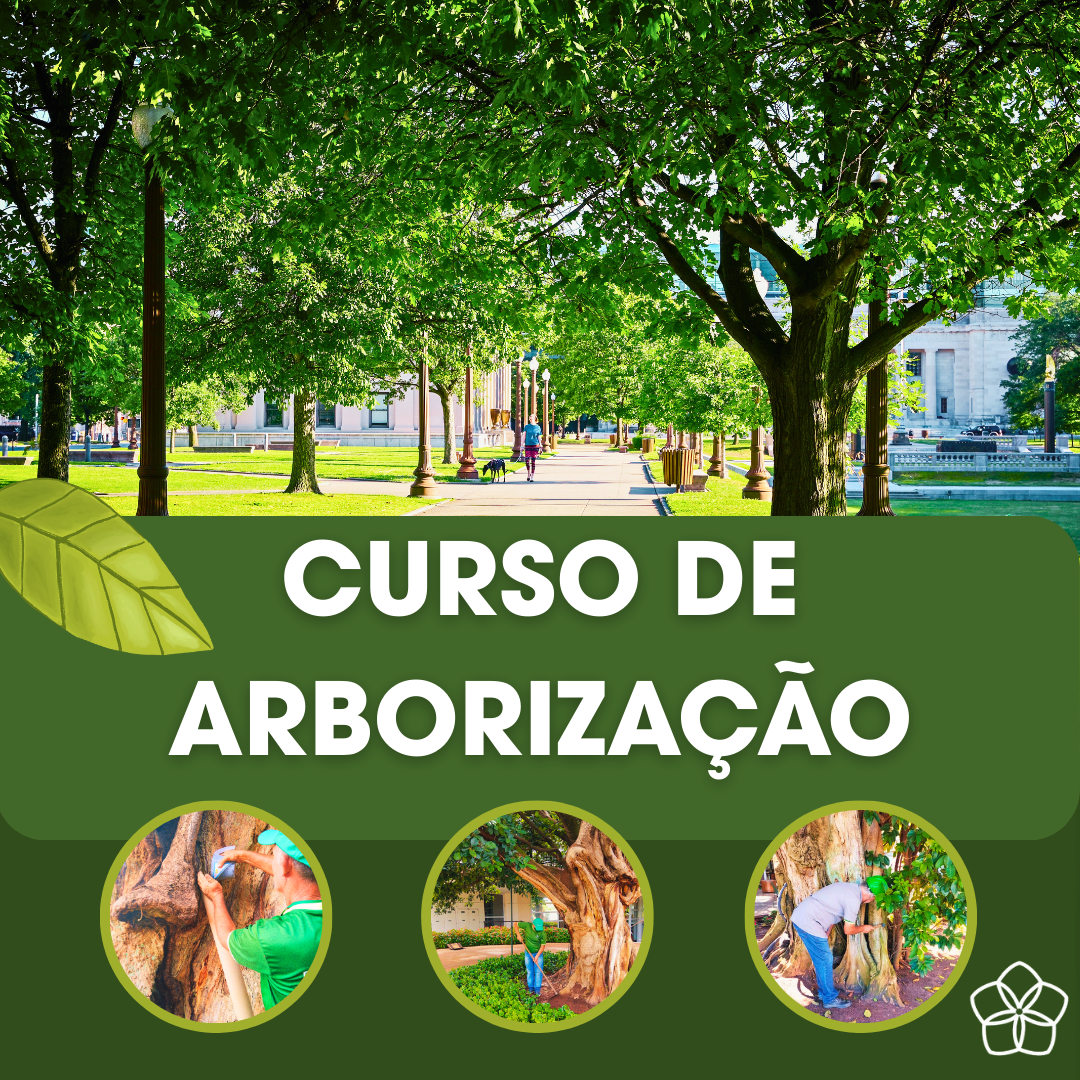 Curso de Arborização